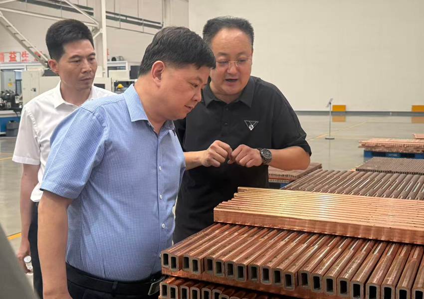 Lead Electrolytic Anode Lead Electrolytic Anode